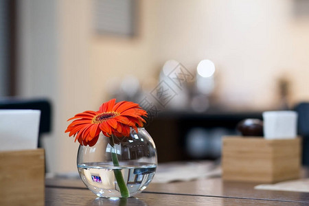 在餐厅的木制蜜蜂床边桌子上玻璃透明花瓶里的短茎上紧贴一个美丽图片