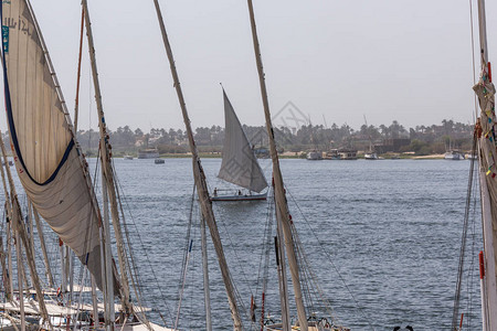 Felucca河船在尼罗河上图片