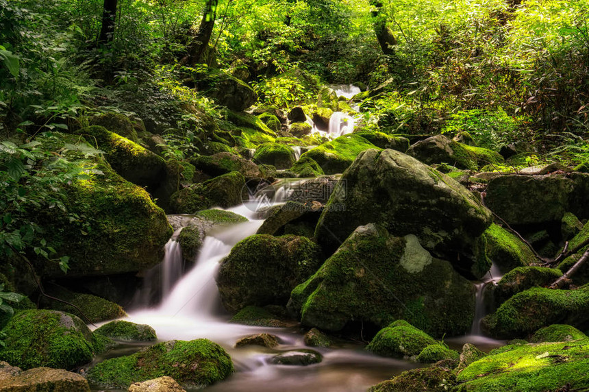 雨后长满苔藓的小溪边拍摄于韩国万州图片