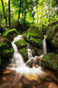 雨后长满苔藓的小溪边拍摄于韩国万州图片