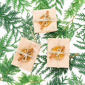 白色背景的礼品盒和冬季植物圣诞概念平图片