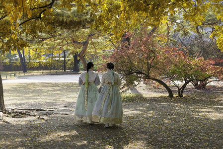 身着韩式传统服饰和黄秋叶的亚洲女孩在韩国首尔京博k图片