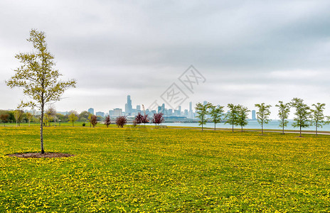 芝加哥南湖岸南部绿地的春景还有黄图片