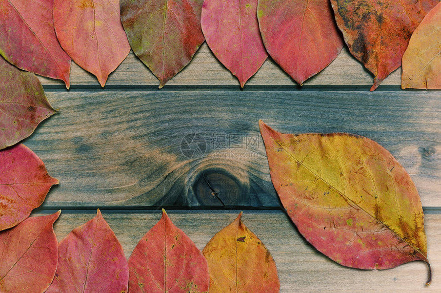 古色香的木桌上五颜六色的秋叶的组成图片