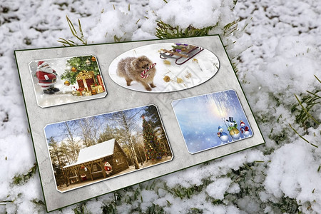 在雪覆盖的风毛树和圣诞卡片图片