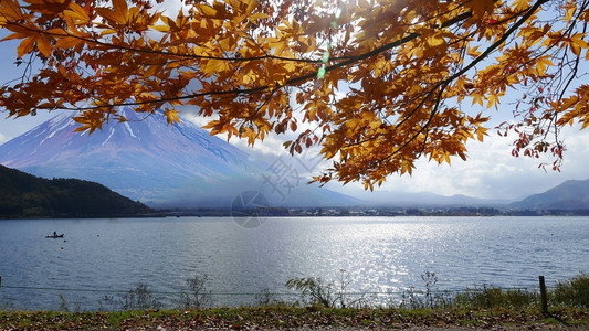 日本河口湖日出时的秋天富士山富士山图片