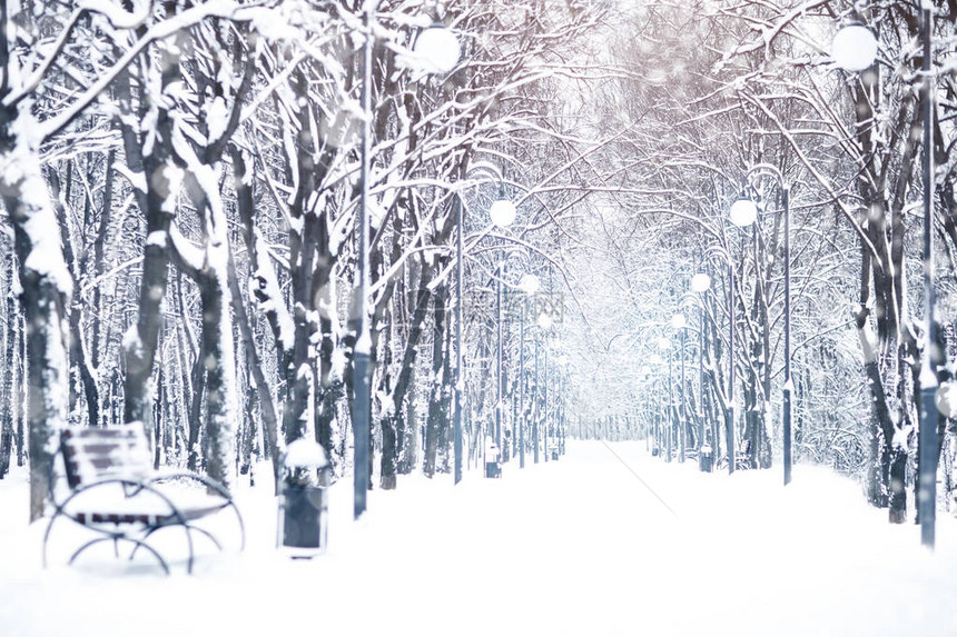 美丽的冬季风景有雪覆盖的树木新年快图片
