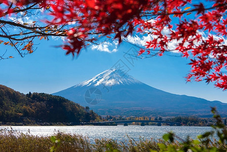 日本富士山秋天多彩川口子湖是日本最图片