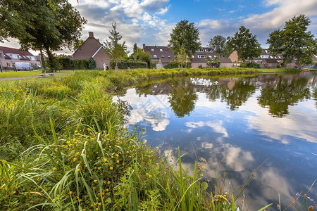 荷兰索斯特一个休闲生态公园的生态友好型池塘岸边缓坡刺激野花和沼图片