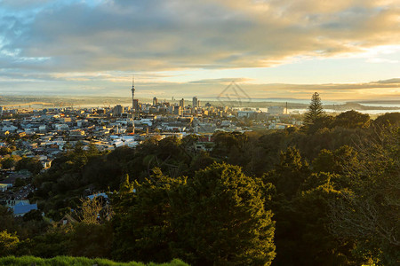 新西兰奥克兰市伊甸山首背景
