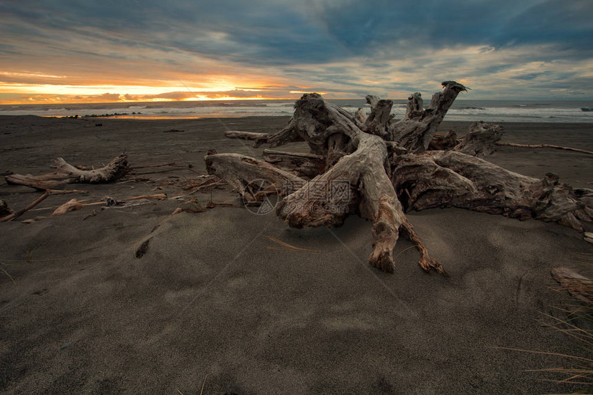 新西兰南地Hokitika西海岸西海岸的美丽废弃海图片