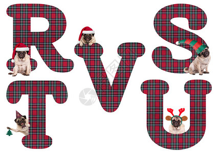 可爱的圣诞哈巴狗小字母RSTUV孤图片