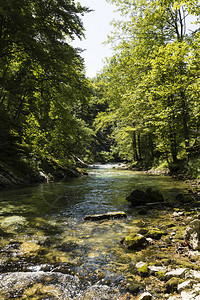 特里珊娜著名的温特加峡谷在特里格拉夫公背景