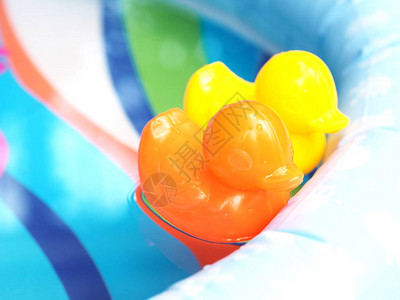 小橙色和黄色的塑料鸭玩具在儿童游泳池图片