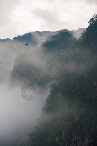 神秘的山雾美丽的风景图片