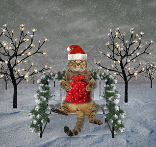 戴圣诞老人帽子的猫带着一袋礼物坐在冬季森图片