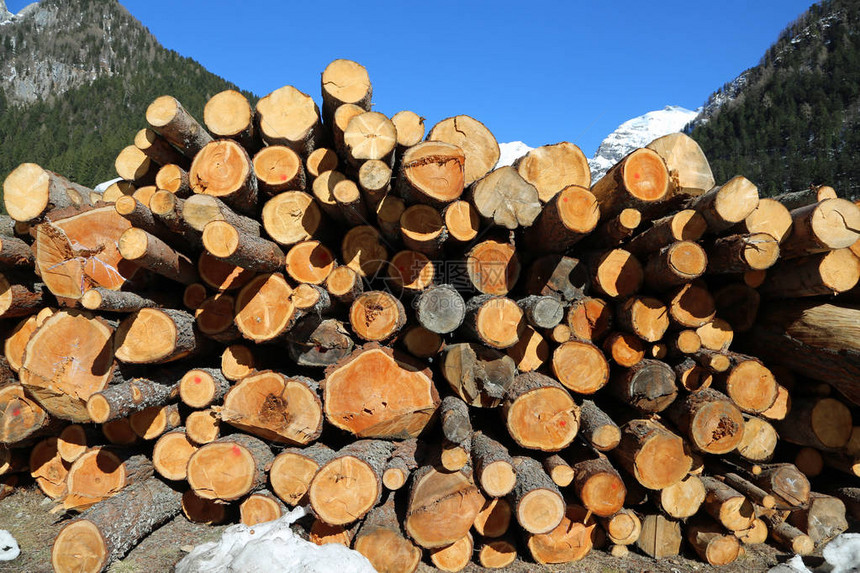 伐木工人砍伐的原木和山上有蓝天背图片