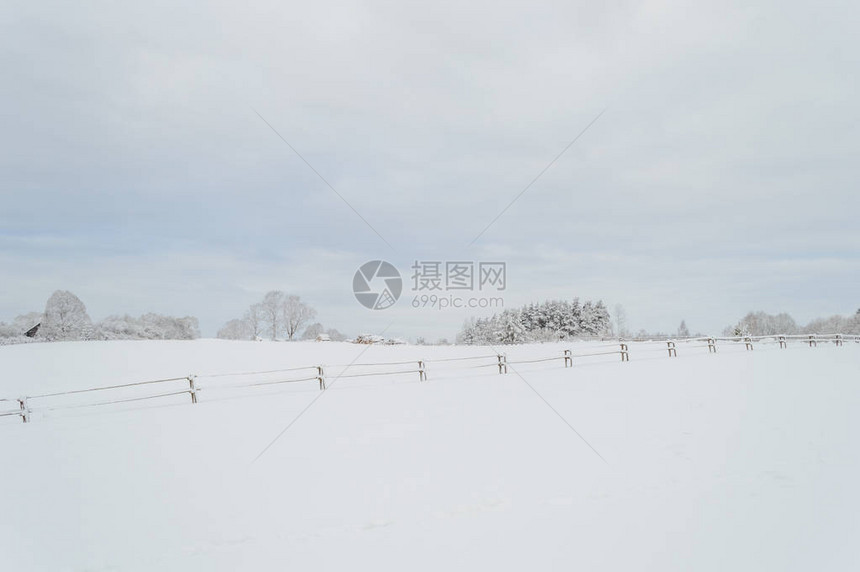 冬季农村地区有雪覆盖树木和乡村路道的图片