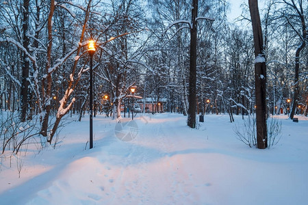 夜间照明的冬季公园图片