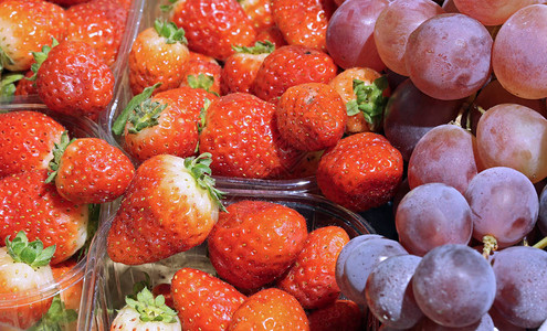 在同年期很难找到早熟的水果红草莓和成熟图片