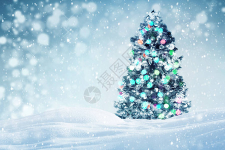 装饰圣诞树户外落雪背景图片