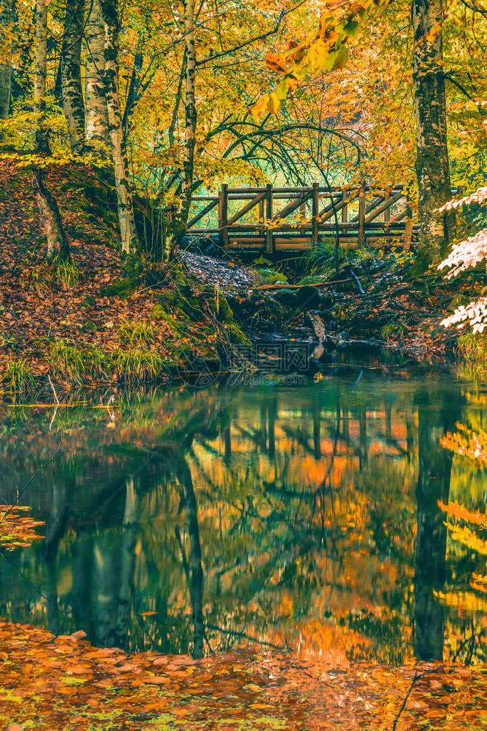 秋季景观的柔和景观与木桥和干树的天空池塘中倒映的树木季节变化阳光明媚的日子秋季公图片