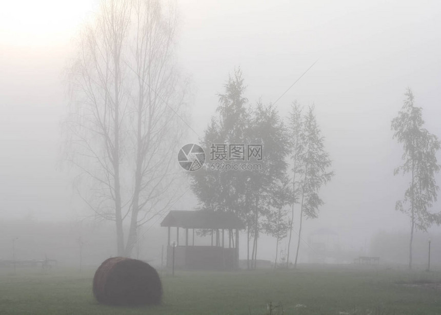 一大早在浓雾中消遣的凉棚图片