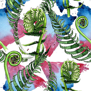 水彩风格的热带蕨叶图案背景纹理包装图案框架或边框高清图片