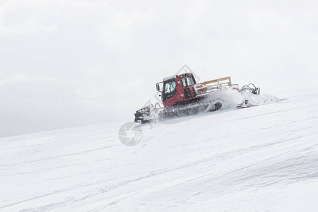 自由式滑雪板图片