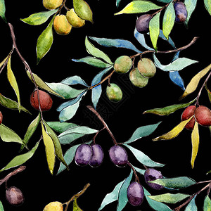 水彩风格的橄榄树图案图片