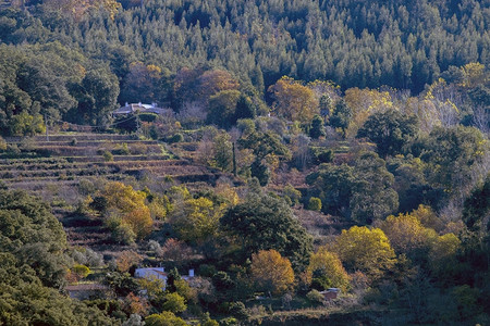 葡萄牙蒙希克地区秋天的图片