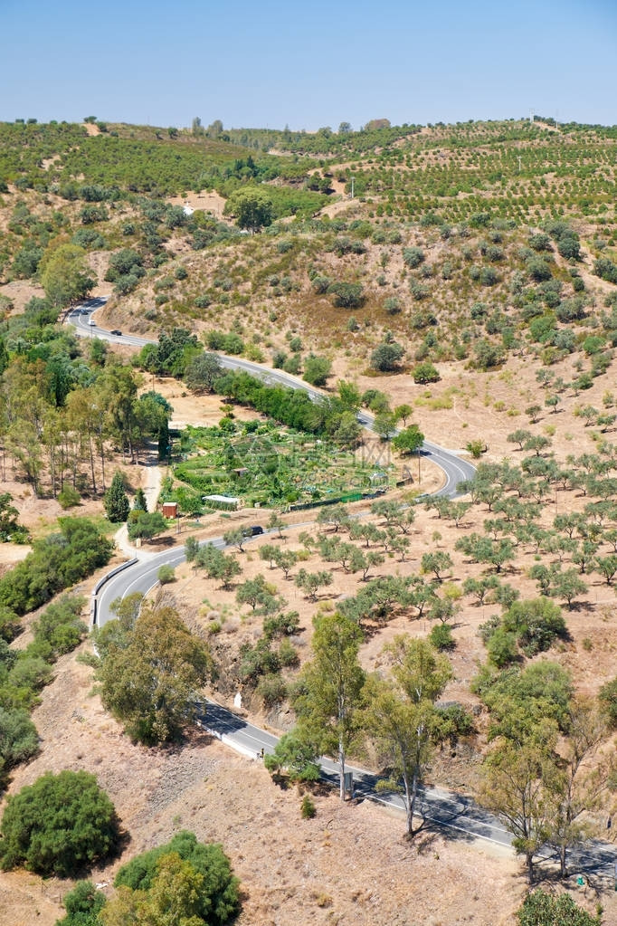 葡萄牙BaixoAlentejo市Mertola市附近山丘上的橄榄果园之间绕图片