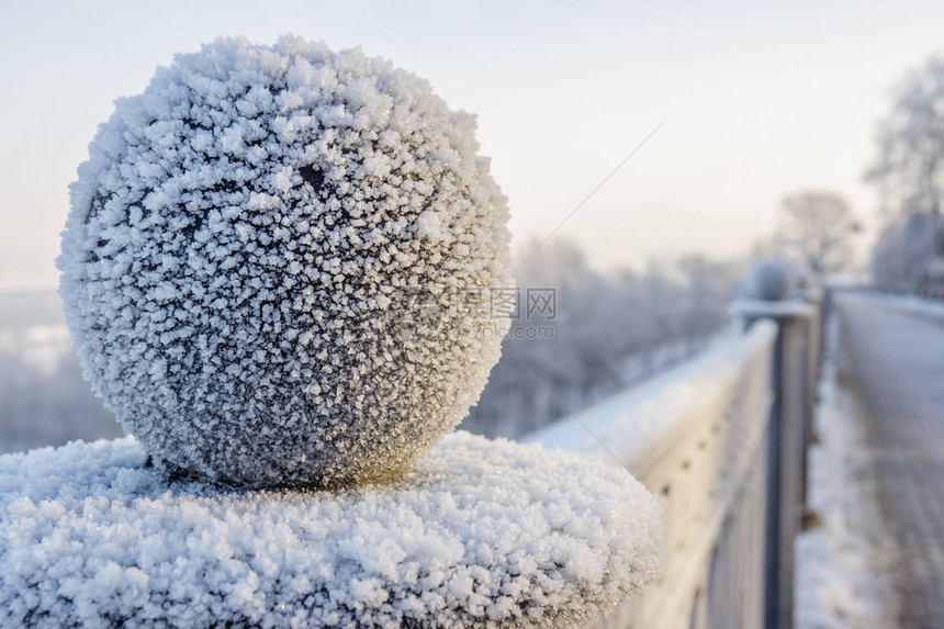 冬天结冰的篱笆上的球图片