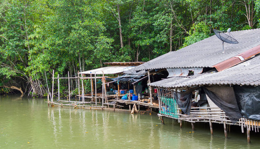 热带风景中的河流小屋图片