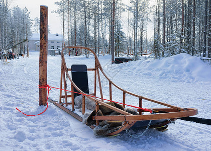 芬兰拉普兰Rovaniemi冬季森林的Husk图片