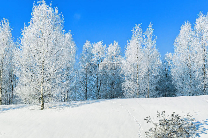 芬兰拉普兰罗瓦涅米Rovaniemi冬季图片