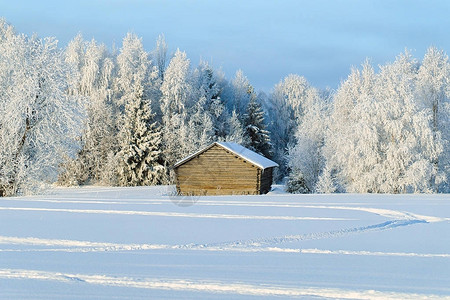 芬兰拉普兰冬季农村地区图片