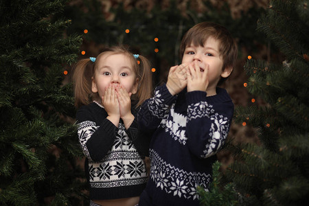 新年树旁的一个小孩子们装饰圣诞树婴儿在工作室的一棵绿树旁图片