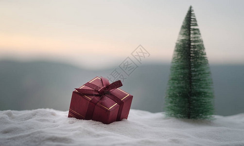 红色圣诞礼盒和雪地上的枞树图片