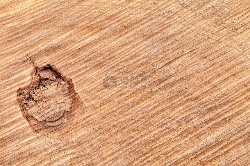 剪切树干缝合的树枝纹理木图片