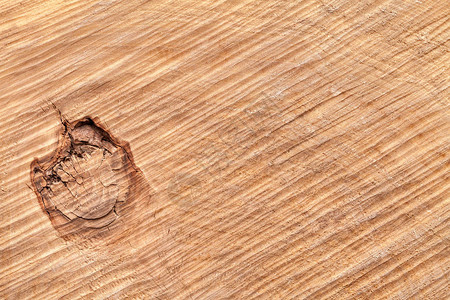 剪切树干缝合的树枝纹理木背景图片