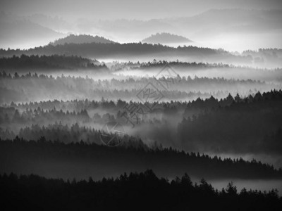 壮丽的大雾景观秋天的奶油雾景观山从浓雾中升起图片