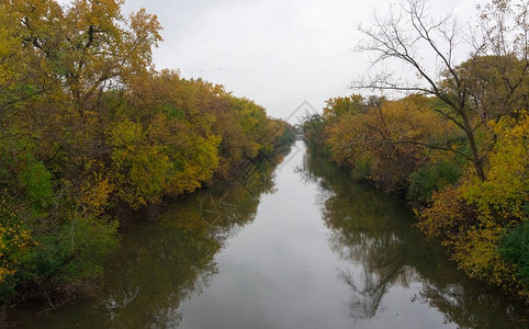 芝加哥河边五颜六色的树木图片