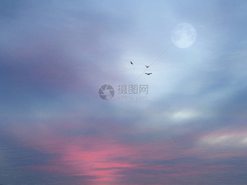 三只鸟飞向天空图片
