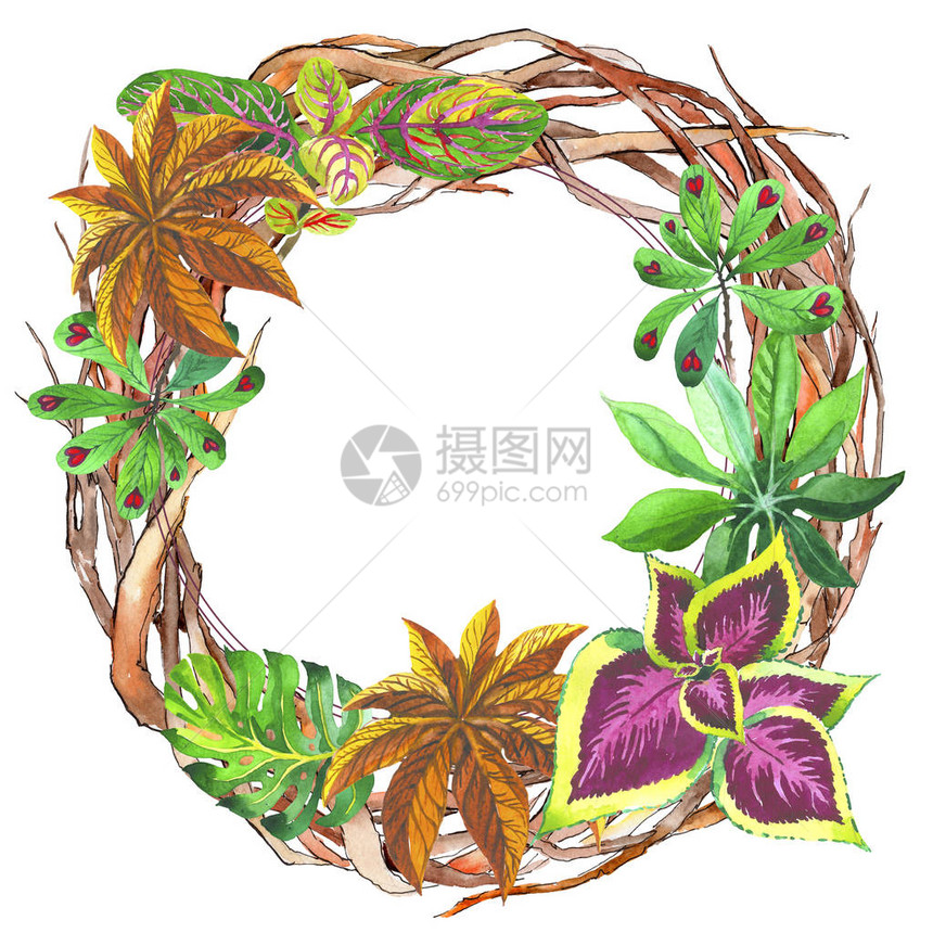 手绘水彩风格的森林树枝花环背景纹理包装图案框架或边框的水图片