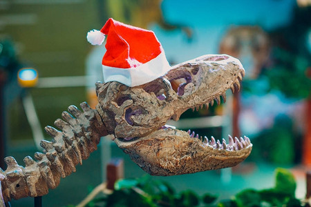 恐龙圣诞老人关闭图片