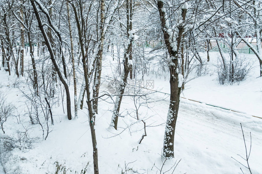 莫斯科冬天雪覆盖了城市的树木在大雪过图片