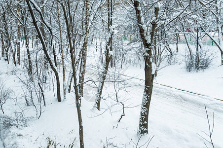 莫斯科冬天雪覆盖了城市的树木在大雪过图片