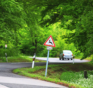 森林道路运输有图片