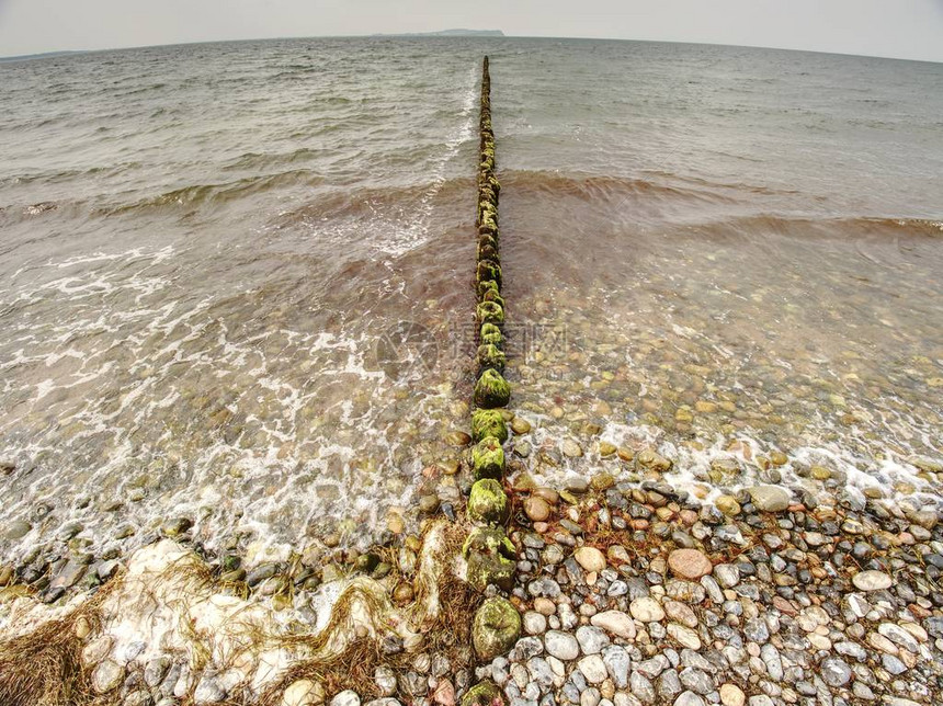 波罗的海岸上的旧木质防波堤白泡沫水在海图片